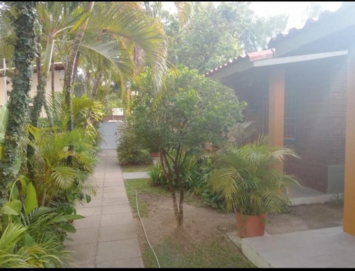 Prive Das Acacias Pôrto das Galinhas Exteriör bild
